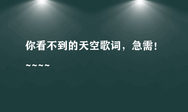 你看不到的天空歌词，急需！~~~~