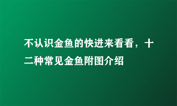 不认识金鱼的快进来看看，十二种常见金鱼附图介绍