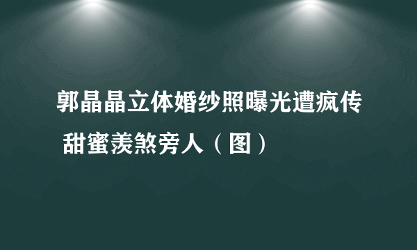 郭晶晶立体婚纱照曝光遭疯传 甜蜜羡煞旁人（图）