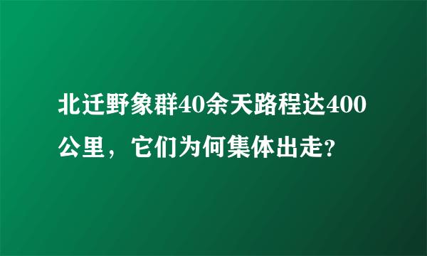 北迁野象群40余天路程达400公里，它们为何集体出走？