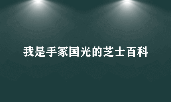 我是手冢国光的芝士百科