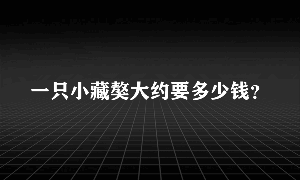 一只小藏獒大约要多少钱？