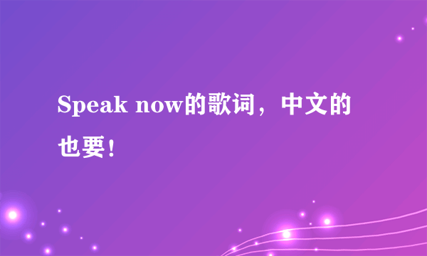 Speak now的歌词，中文的也要！