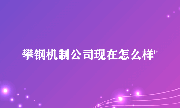 攀钢机制公司现在怎么样