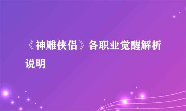 《神雕侠侣》各职业觉醒解析说明