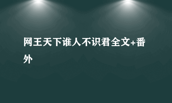 网王天下谁人不识君全文+番外