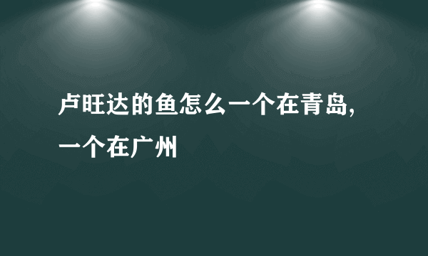 卢旺达的鱼怎么一个在青岛,一个在广州