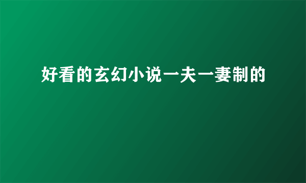 好看的玄幻小说一夫一妻制的