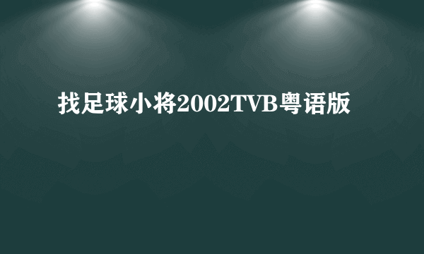 找足球小将2002TVB粤语版