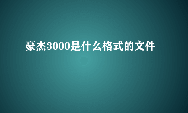 豪杰3000是什么格式的文件