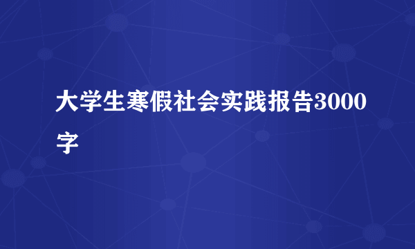 大学生寒假社会实践报告3000字