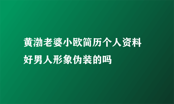 黄渤老婆小欧简历个人资料 好男人形象伪装的吗