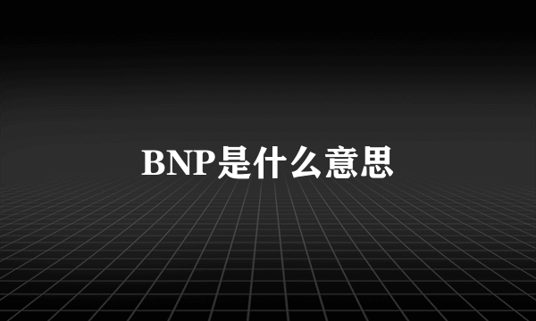 BNP是什么意思