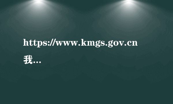 https://www.kmgs.gov.cn 我是一个新客户，要怎样才能进入昆明国税局增值税网络申报