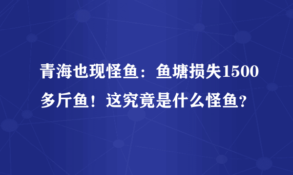 青海也现怪鱼：鱼塘损失1500多斤鱼！这究竟是什么怪鱼？