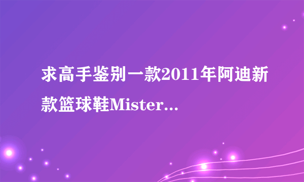 求高手鉴别一款2011年阿迪新款篮球鞋Misterfly的鞋标，谢谢~！！~