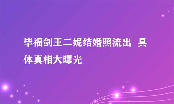 毕福剑王二妮结婚照流出  具体真相大曝光