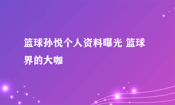 篮球孙悦个人资料曝光 篮球界的大咖