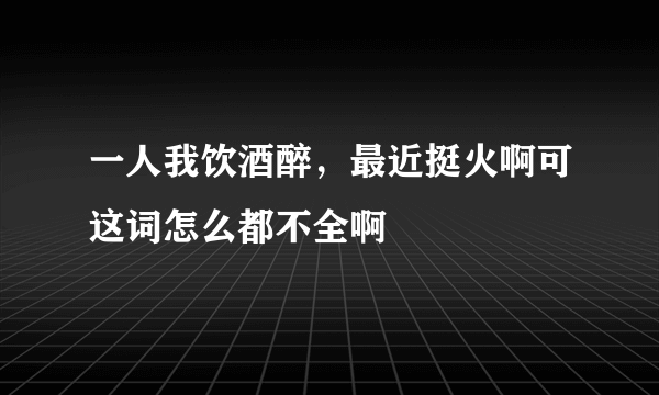 一人我饮酒醉，最近挺火啊可这词怎么都不全啊