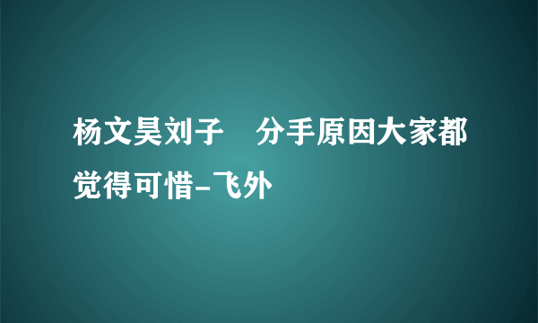 杨文昊刘子玥分手原因大家都觉得可惜-飞外