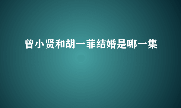 曾小贤和胡一菲结婚是哪一集