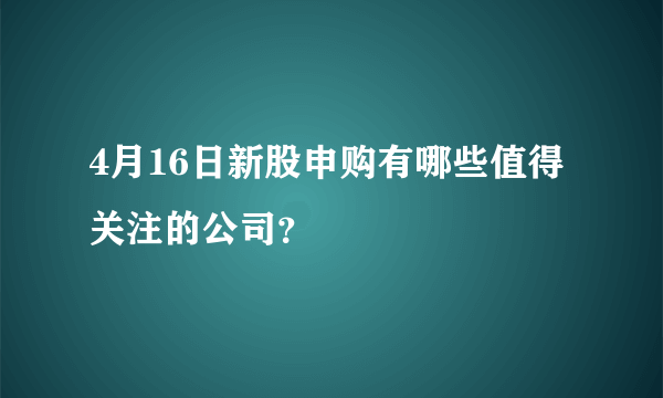 4月16日新股申购有哪些值得关注的公司？