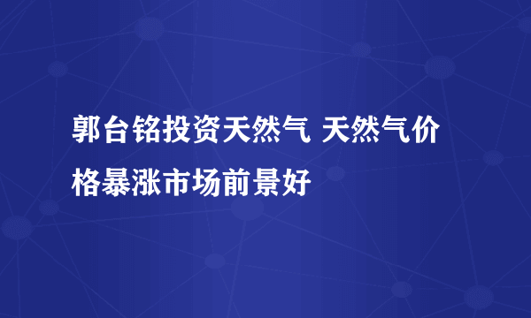 郭台铭投资天然气 天然气价格暴涨市场前景好