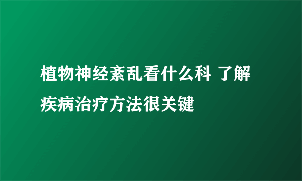 植物神经紊乱看什么科 了解疾病治疗方法很关键