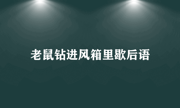 老鼠钻进风箱里歇后语