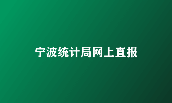 宁波统计局网上直报