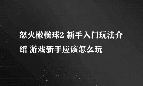 怒火橄榄球2 新手入门玩法介绍 游戏新手应该怎么玩