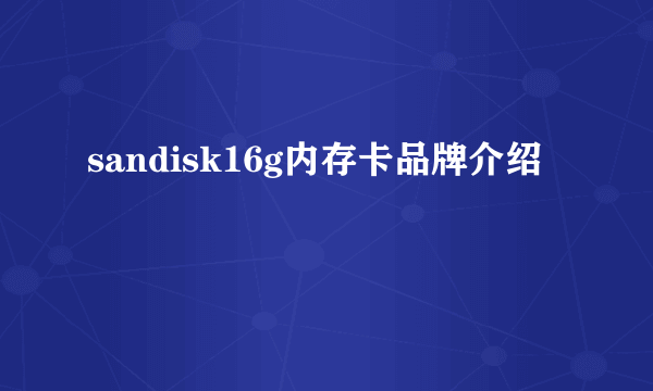 sandisk16g内存卡品牌介绍