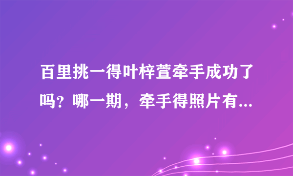 百里挑一得叶梓萱牵手成功了吗？哪一期，牵手得照片有吗？是吴彦堃吗？