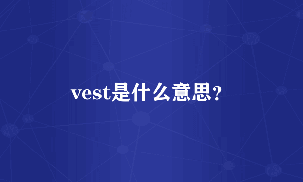 vest是什么意思？