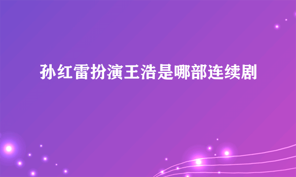 孙红雷扮演王浩是哪部连续剧