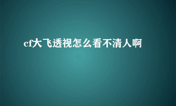 cf大飞透视怎么看不清人啊