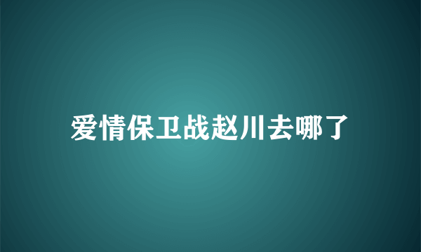 爱情保卫战赵川去哪了