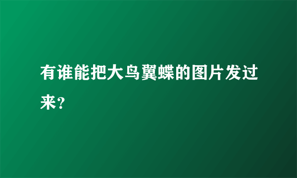 有谁能把大鸟翼蝶的图片发过来？