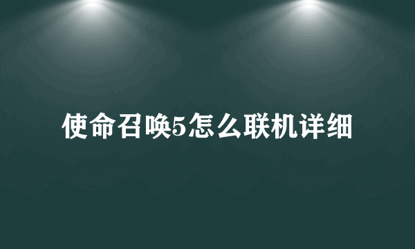 使命召唤5怎么联机详细