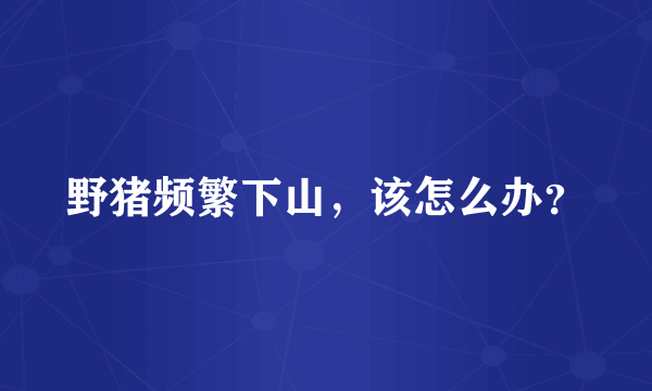 野猪频繁下山，该怎么办？