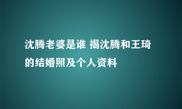 沈腾老婆是谁 揭沈腾和王琦的结婚照及个人资料