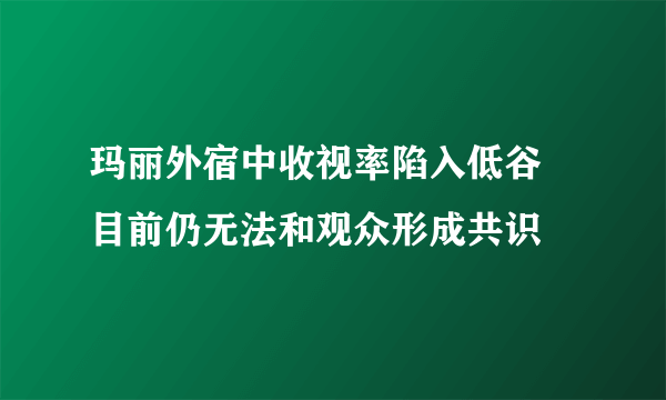 玛丽外宿中收视率陷入低谷 目前仍无法和观众形成共识