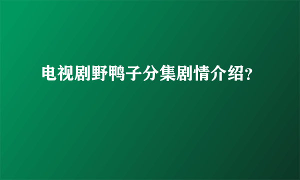 电视剧野鸭子分集剧情介绍？