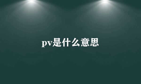 pv是什么意思