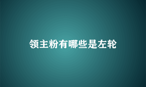 领主粉有哪些是左轮