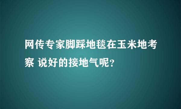 网传专家脚踩地毯在玉米地考察 说好的接地气呢？