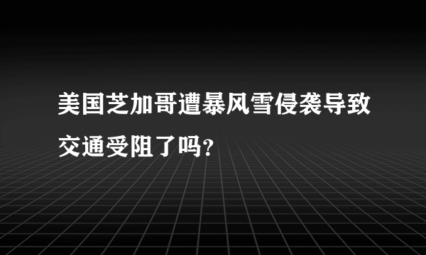 美国芝加哥遭暴风雪侵袭导致交通受阻了吗？