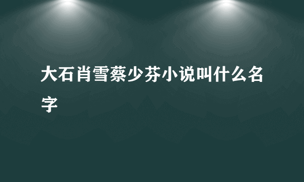 大石肖雪蔡少芬小说叫什么名字