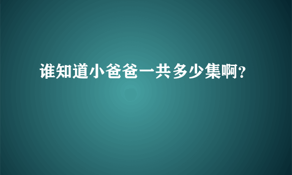 谁知道小爸爸一共多少集啊？