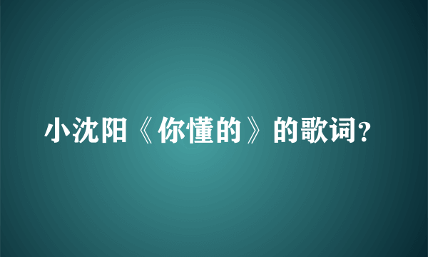 小沈阳《你懂的》的歌词？